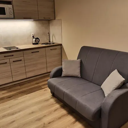 Apartment Apartament Krynica Morska Krynica Morska